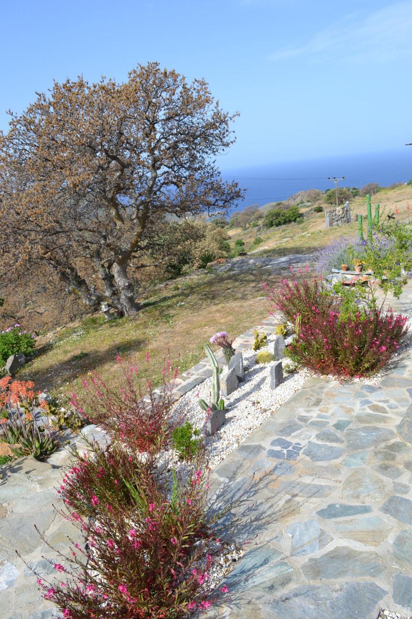 Rural Guest House B&B Chavouna Esterno foto