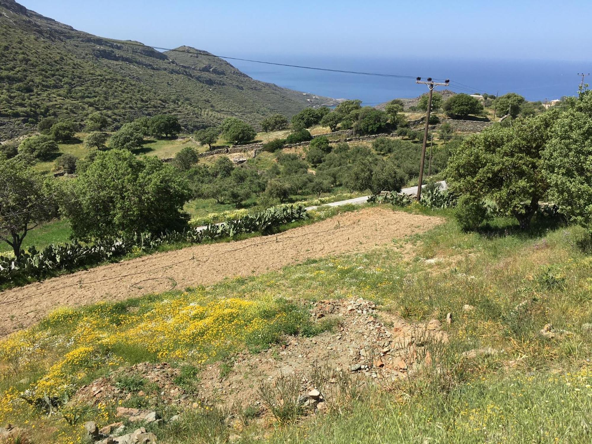 Rural Guest House B&B Chavouna Esterno foto