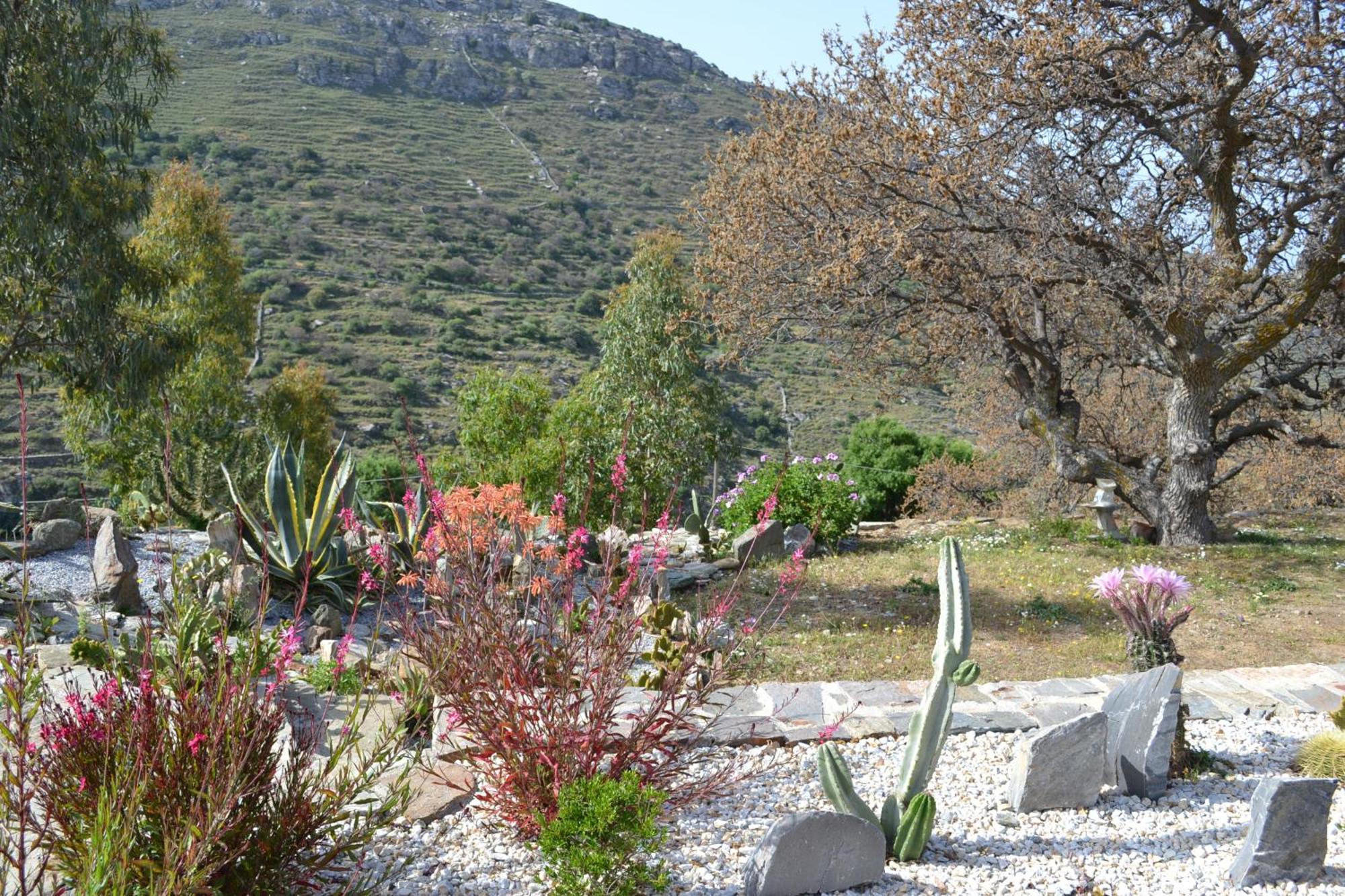 Rural Guest House B&B Chavouna Esterno foto
